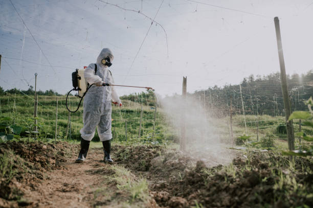 Pest Control Cost in Connersville, IN