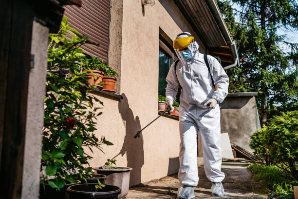 Best Cockroach Control Services  in Connersville, IN