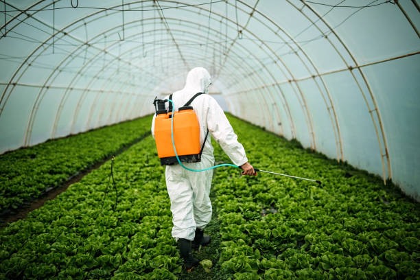 Best Affordable Exterminators  in Connersville, IN