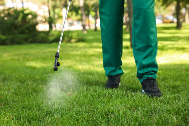 Best Wasp Removal Services  in Connersville, IN