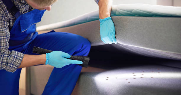 Best Best Pest Control Companies  in Connersville, IN