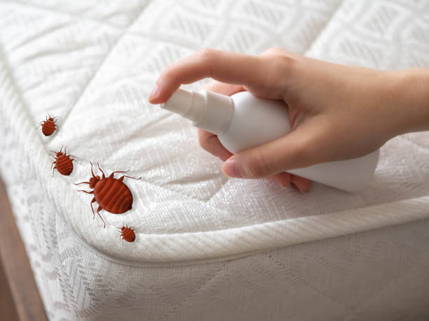 Best Best Pest Control Companies  in Connersville, IN