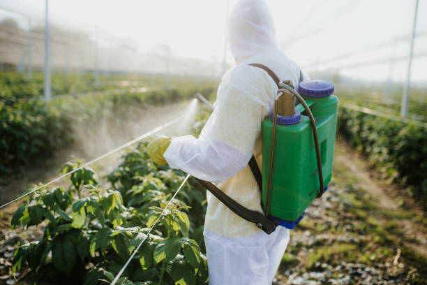 Best Pest Control Near Me  in Connersville, IN
